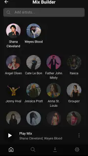 Plexamp screenshot 4