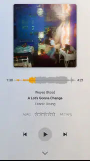 Plexamp screenshot 5