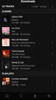 Plexamp screenshot 8