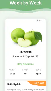 Pregnancy App screenshot 1