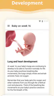 Pregnancy App screenshot 2