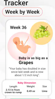Pregnancy Calculator: Due Date screenshot 2