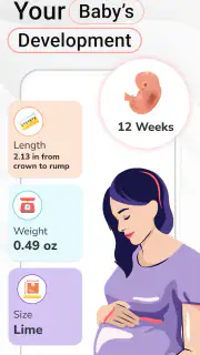 Pregnancy Calculator: Due Date screenshot 3