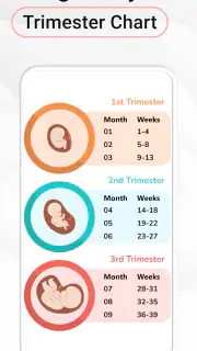 Pregnancy Calculator: Due Date screenshot 4