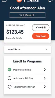 PSEG screenshot 2