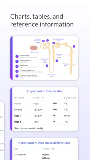 Pyrls screenshot 3