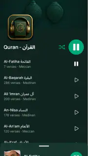 Quran Player Audio Offline screenshot 5
