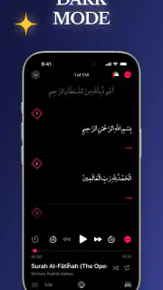 Quran Pro: Read the Holy Quran screenshot 8