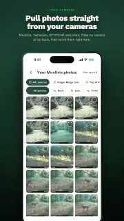 rackline.ai - AI Deer Scoring screenshot 2