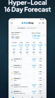 RainDrop: Virtual Rain Gauge screenshot 5