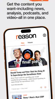 Reason screenshot 4