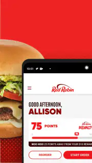 Red Robin screenshot 3