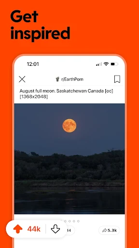 Reddit screenshot