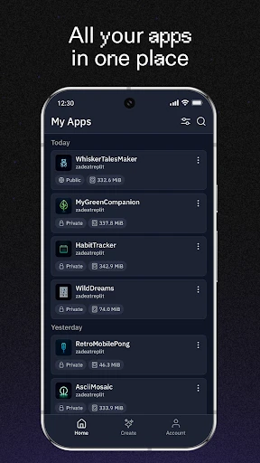 Replit screenshot