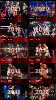 Ring of Honor screenshot 5