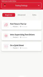 RoadReady screenshot 4