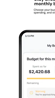 Rocco - Fast Cash Advance screenshot 4