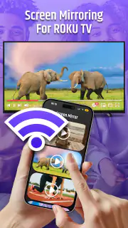 Roku Remote Control & TV Cast screenshot 3