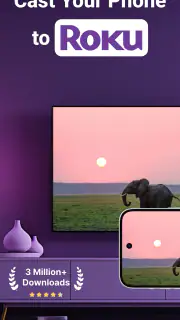 Roku Screen Mirror & Cast TV screenshot 1