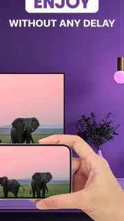Roku Screen Mirror & Cast TV screenshot 2