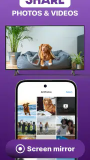 Roku Screen Mirror & Cast TV screenshot 4