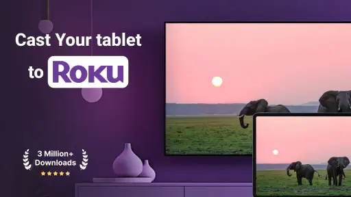Roku Screen Mirror & Cast TV screenshot 8