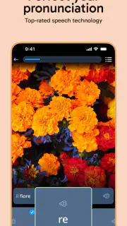 Rosetta Stone Sapphire screenshot 5
