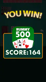 Rummy 500 - Card Game screenshot 8