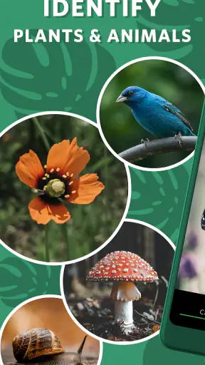 Seek by iNaturalist screenshot