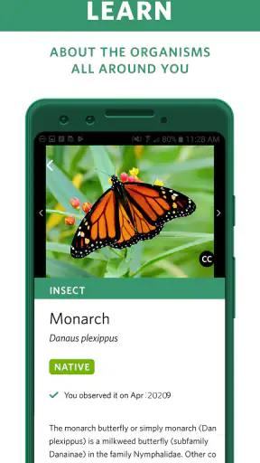 Seek by iNaturalist screenshot