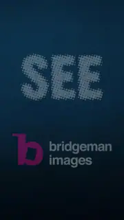 SEE's Michelangelo's Sistine screenshot 2