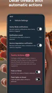 Sentry Pro for Tesla screenshot 3