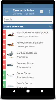 Sibley Birds 2nd Edition screenshot 2