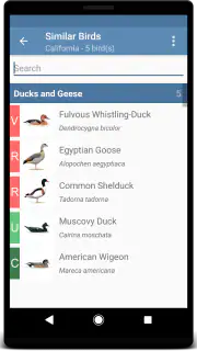 Sibley Birds 2nd Edition screenshot 4