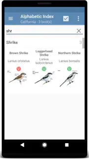 Sibley Birds 2nd Edition screenshot 8