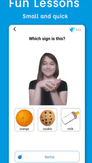 Sign Language ASL Pocket Sign screenshot 6