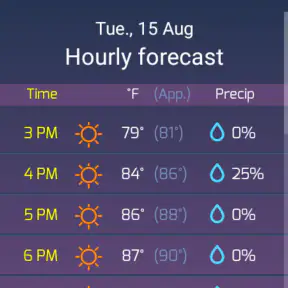 SkyHalo Weather for Wear OS screenshot 3