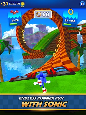 Sonic Dash Endless Runner Game screenshot