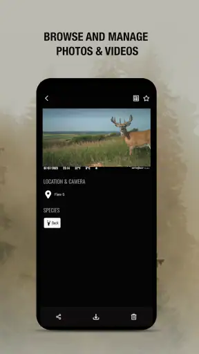 SPYPOINT screenshot