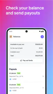 Stripe Dashboard screenshot 4