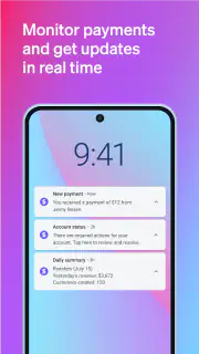 Stripe Dashboard screenshot 7
