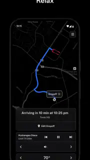 Tesla Robotaxi screenshot 4