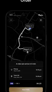 Tesla Robotaxi screenshot 5