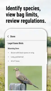 Texas Outdoor Annual screenshot 4