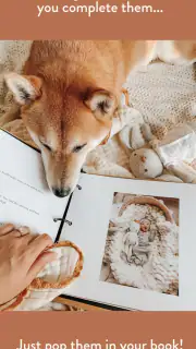 The Short Years Baby Book screenshot 3