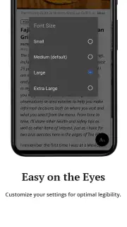 The Virginian-Pilot screenshot 4
