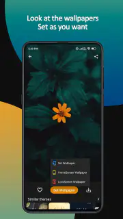 Themes screenshot 7