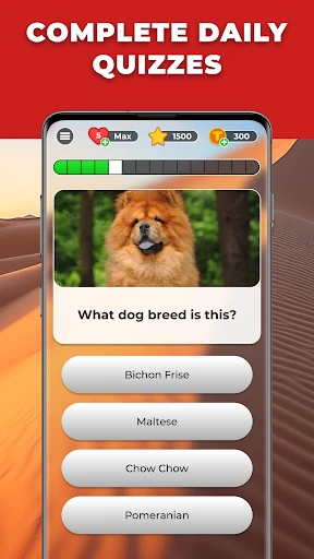 Triviascapes: IQ & brain test screenshot