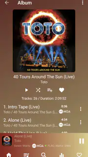 USB Audio Player PRO screenshot 3