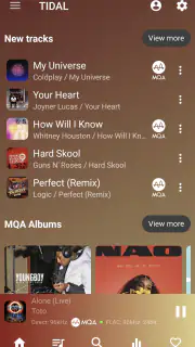 USB Audio Player PRO screenshot 5